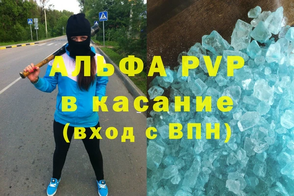 ГАЛЛЮЦИНОГЕННЫЕ ГРИБЫ Липки