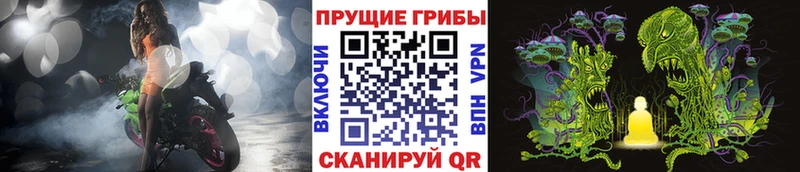 Псилоцибиновые грибы мицелий  продажа наркотиков  Лаишево 