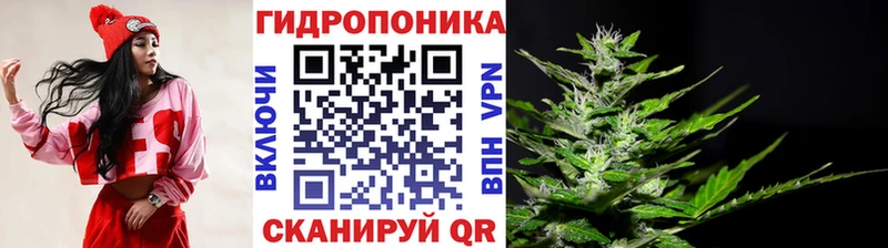 Бошки марихуана AK-47  Лаишево 